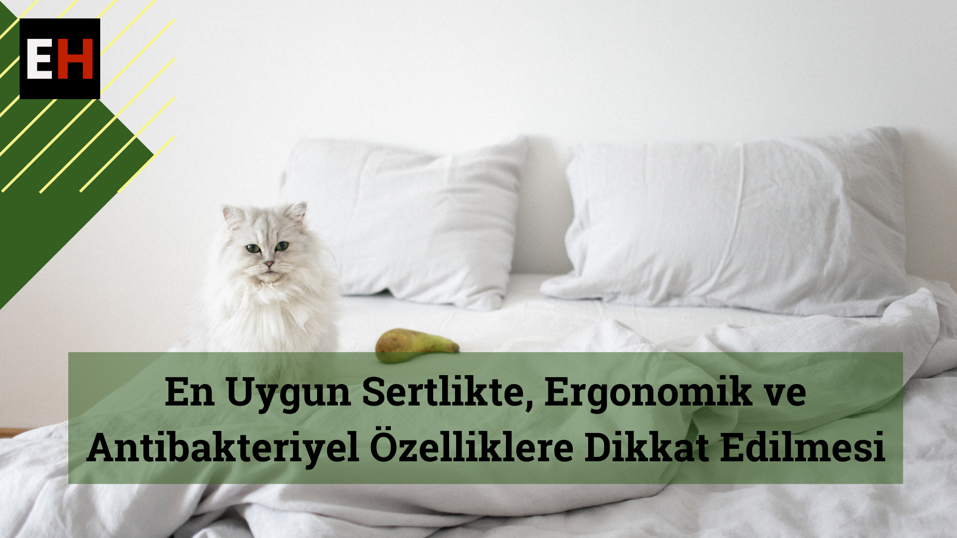 antibakteriyel yataklar
