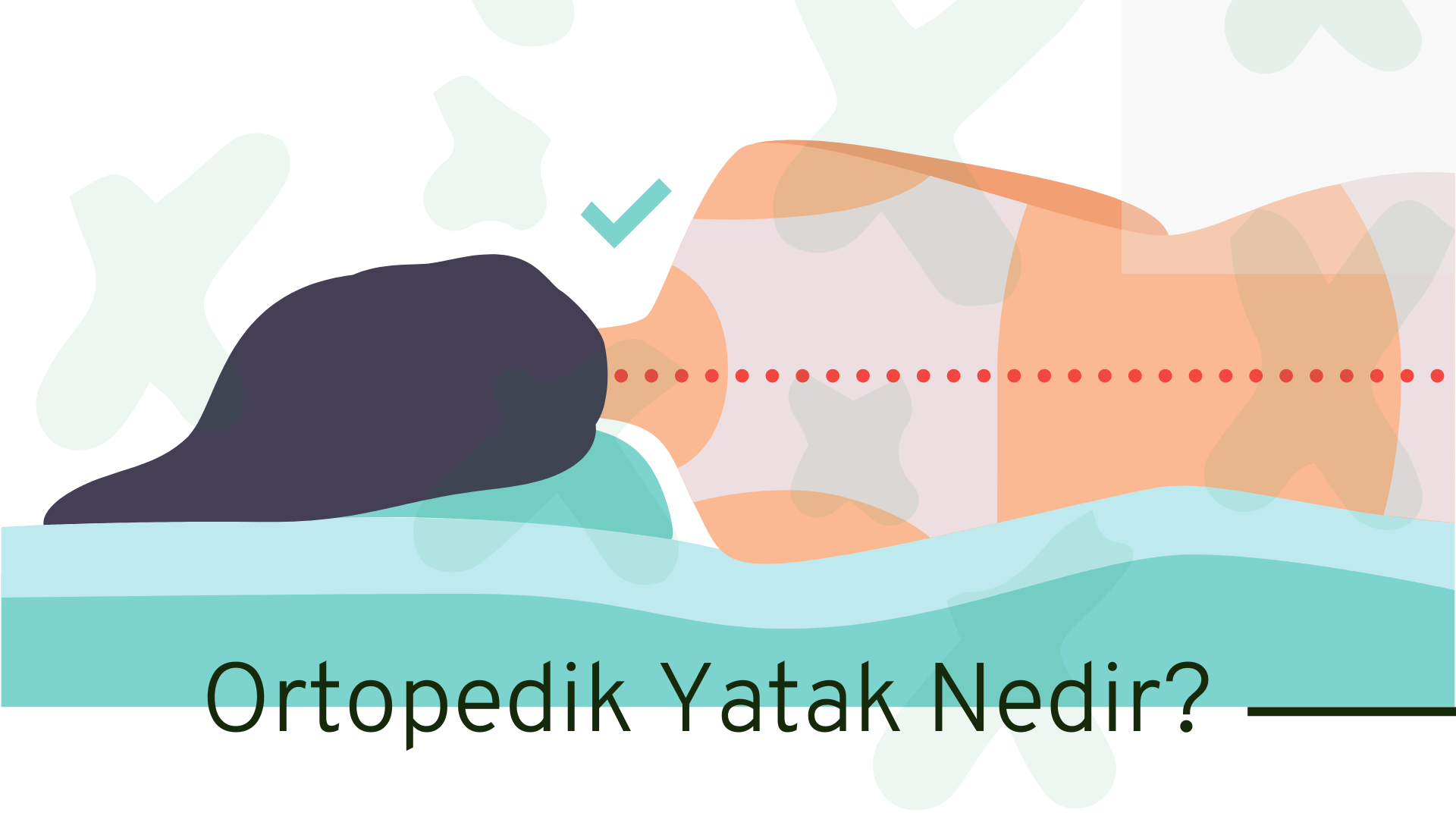  fotoğrafı