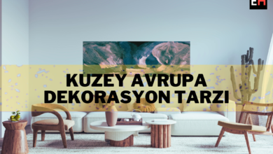 fotoğrafı