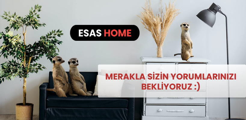 yorum alanı
