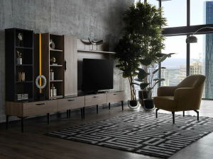 tv unitesi 1
